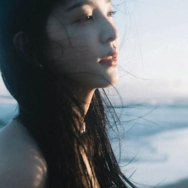 海龟们